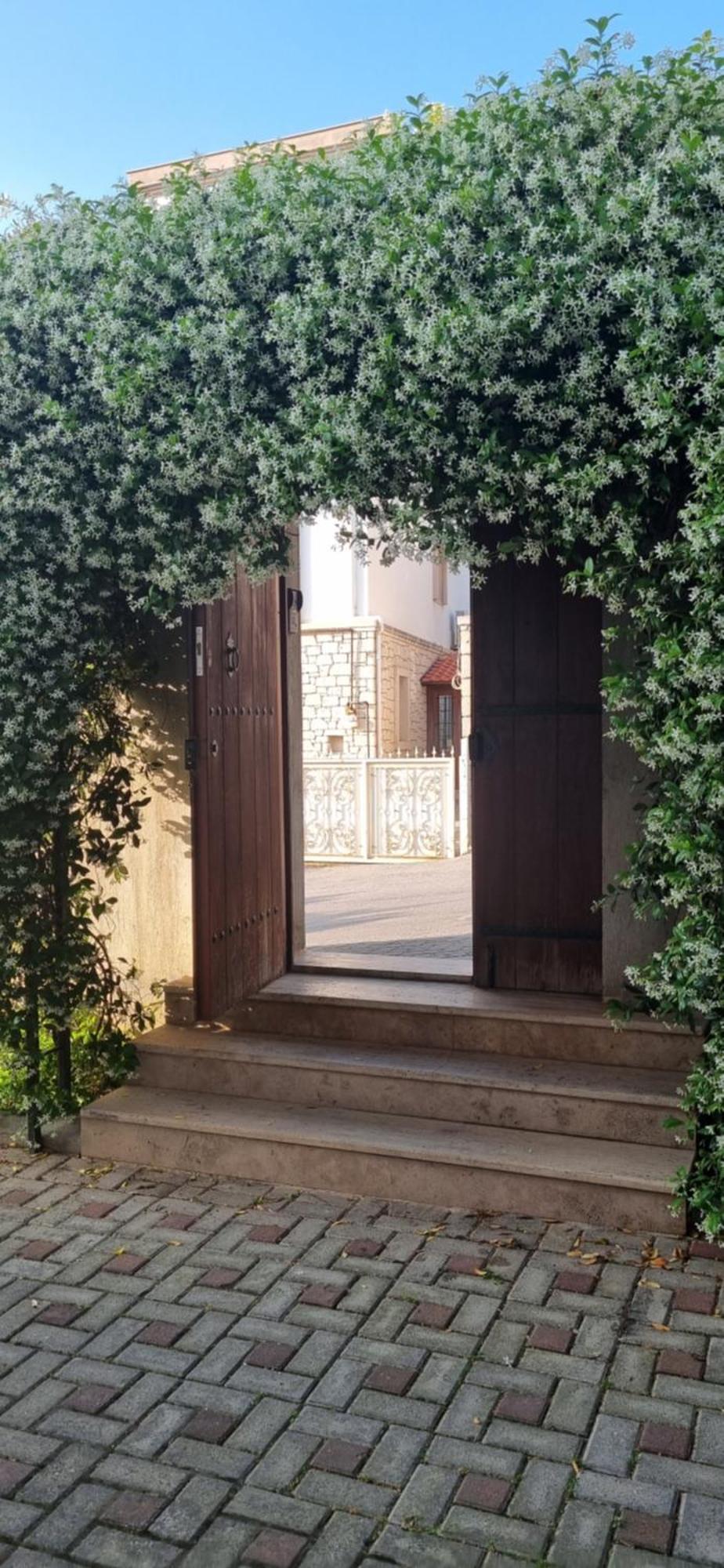 Ephesus Suites 塞尔丘克 外观 照片